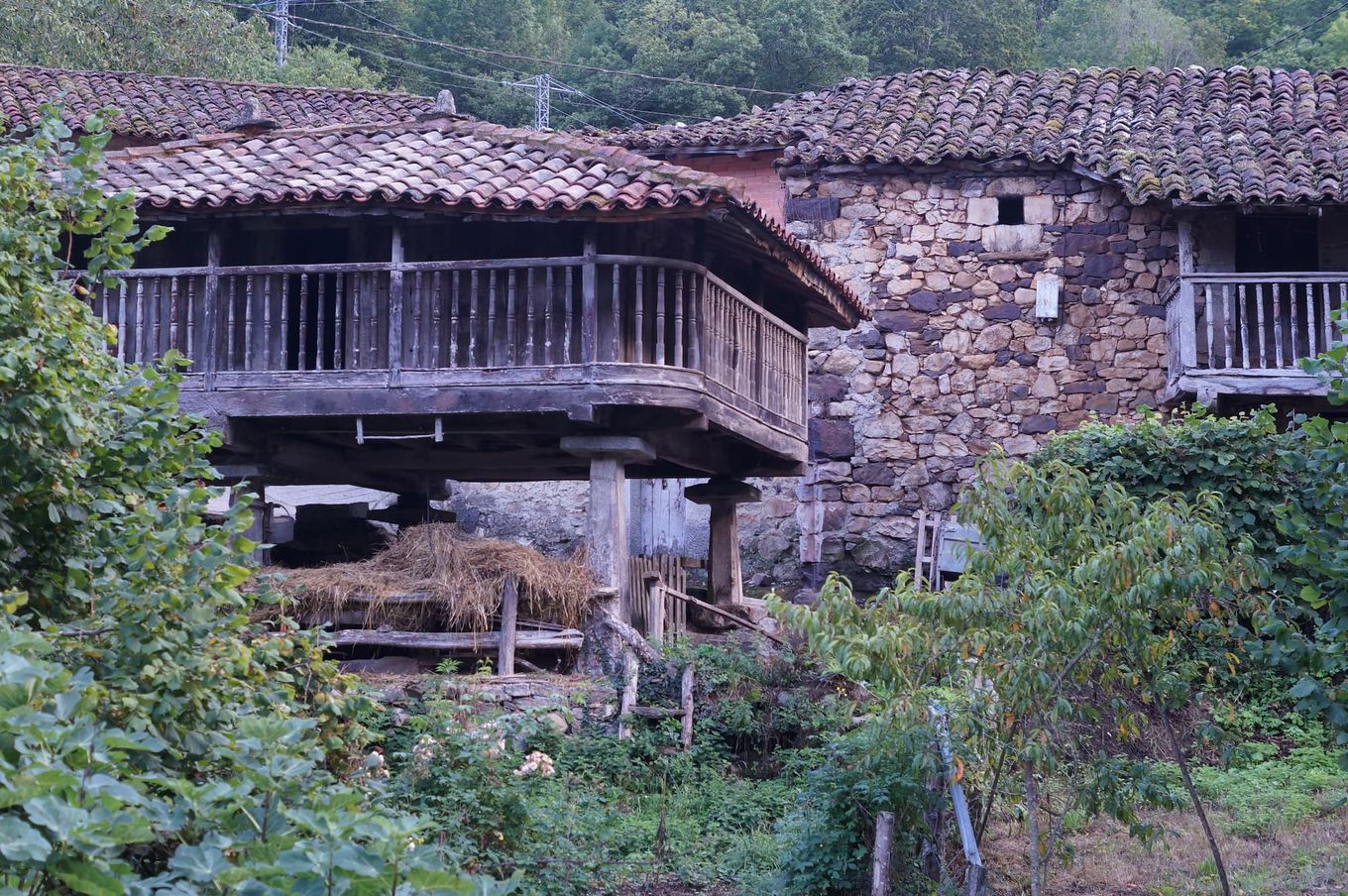 A traditional Asturian village with it's raised granaries, surrounded by lush green hills and mountains